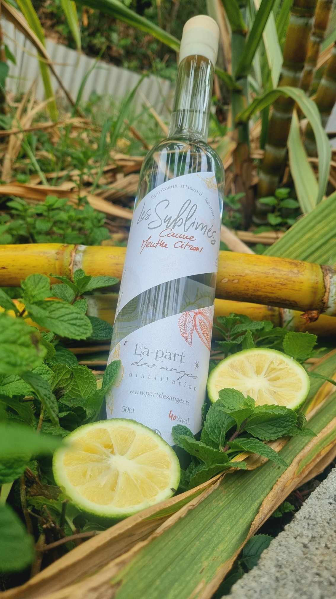 sublime-menthe-citron